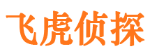 新野市私家侦探